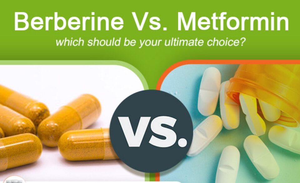 berberine vs metformin for professionals - blood sugar management supplements