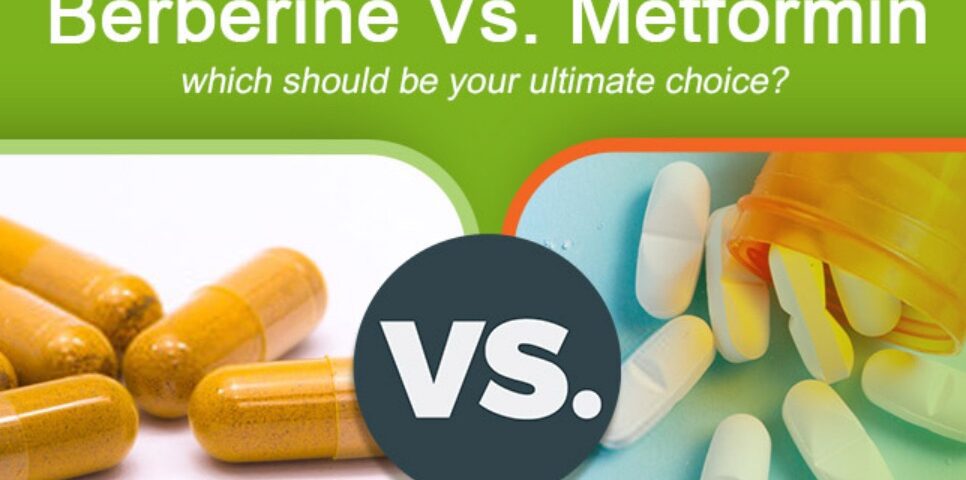 berberine vs metformin for professionals - blood sugar management supplements