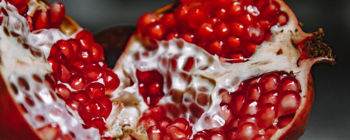 urolithin A mitophagy post-viral immune recovery - pomegranate ellagitannins cellular health