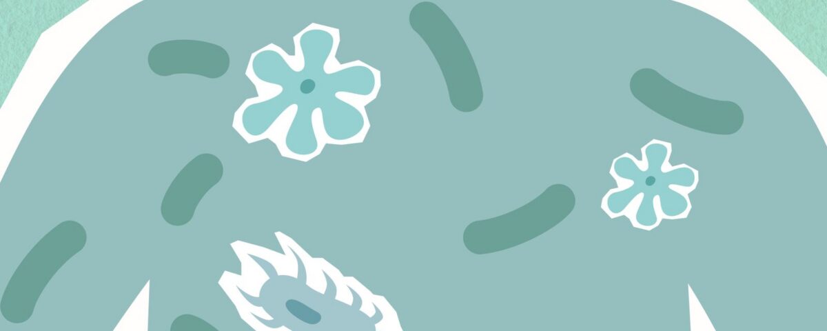 leaky gut long covid - microbiome illustration showing bacteria across the digestive tract