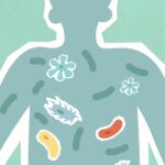 leaky gut long covid - microbiome illustration showing bacteria across the digestive tract
