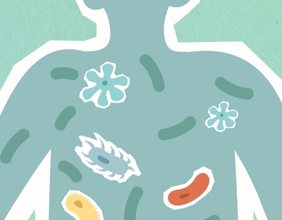leaky gut long covid - microbiome illustration showing bacteria across the digestive tract